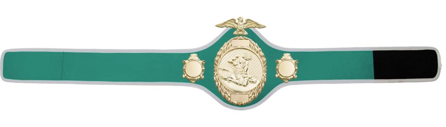MMA CHAMPIONSHIP BELT- PRO288/G/MMAG - 10 COLOURS MMA CHAMPIONSHIP BELT- PRO288/G/MMAG - 10 COLOURS